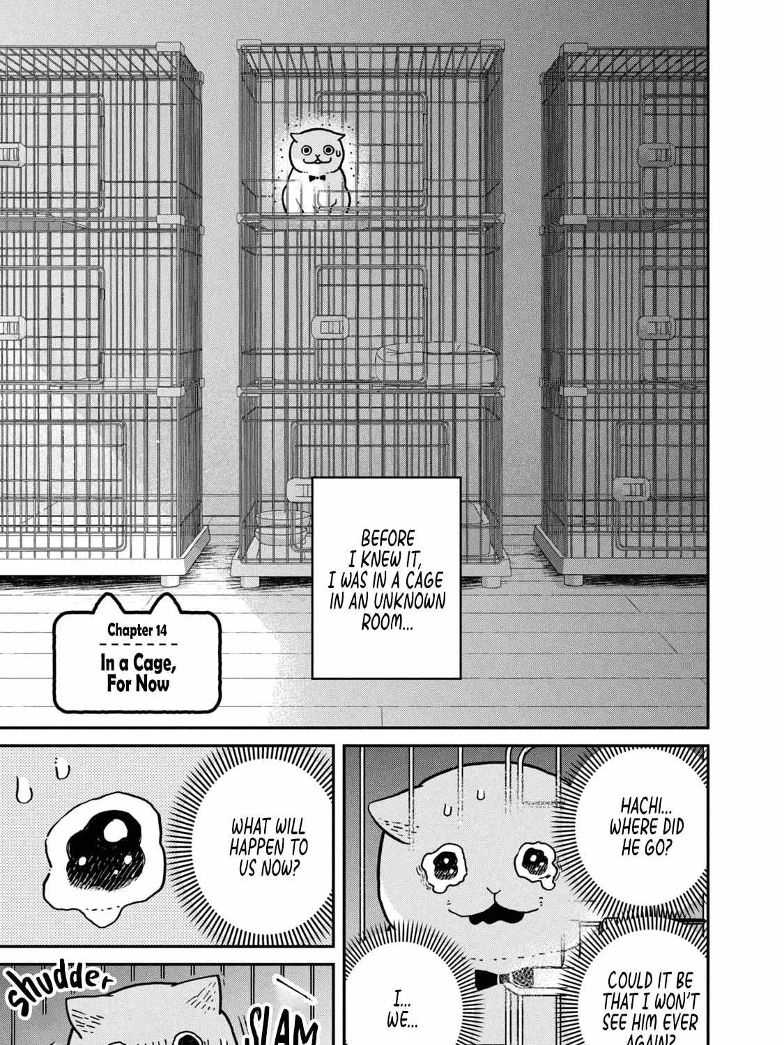 Cat Partners: Maruru And Hachi Chapter 14 page 3 - 