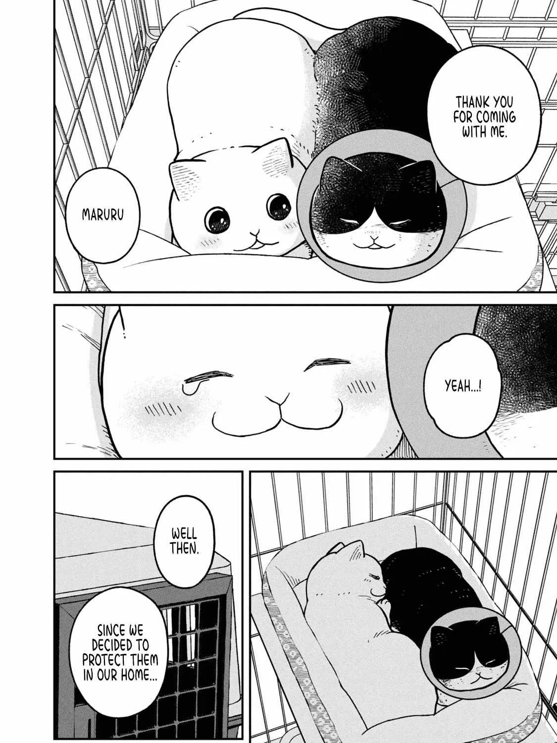 Cat Partners: Maruru And Hachi Chapter 14 page 21 - 
