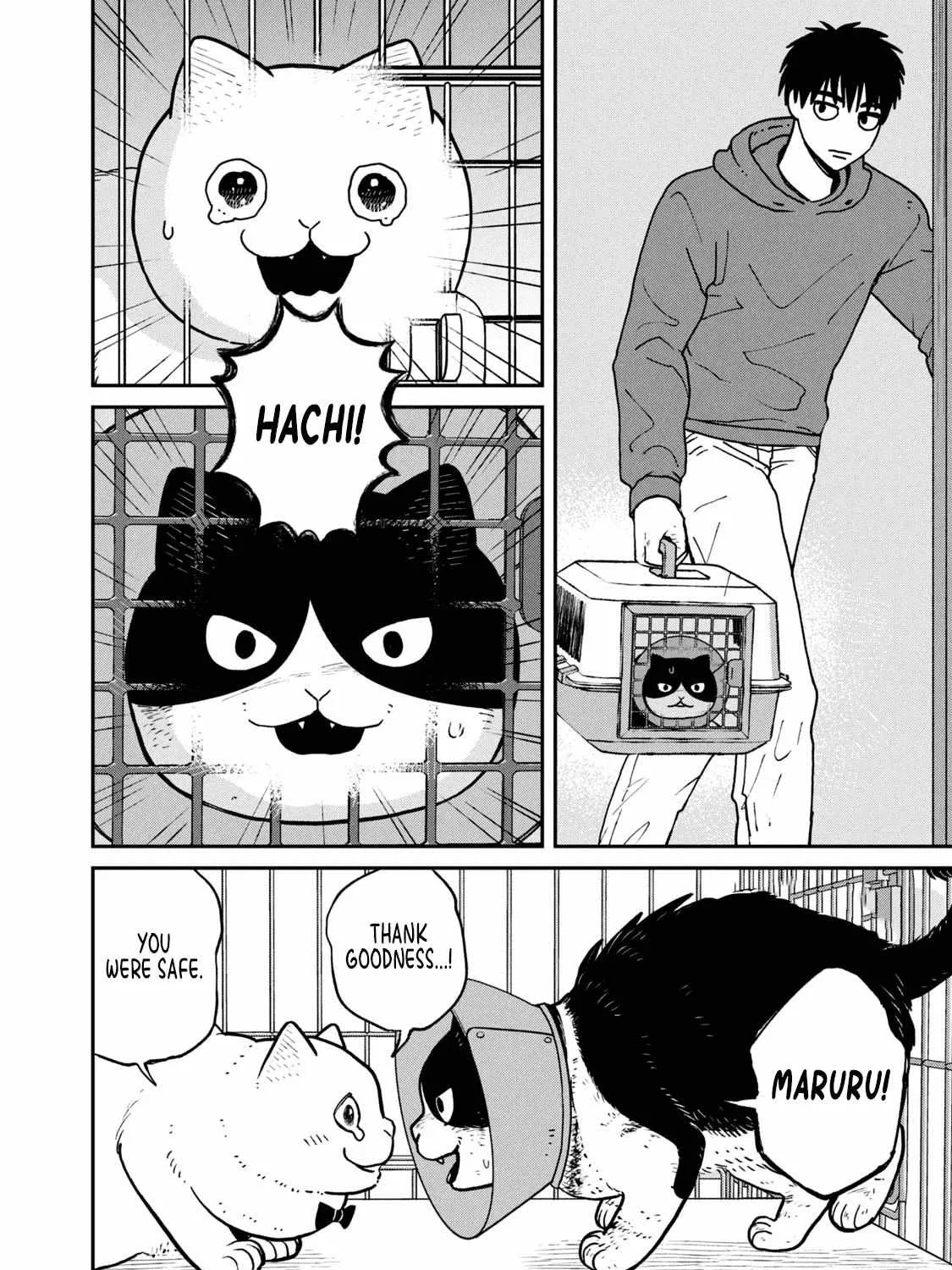 Cat Partners: Maruru And Hachi Chapter 14 page 5 - 
