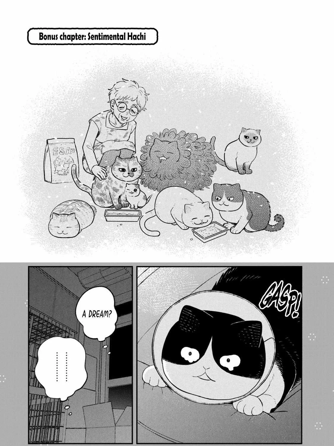 Cat Partners: Maruru And Hachi Chapter 15.1 page 2 - 