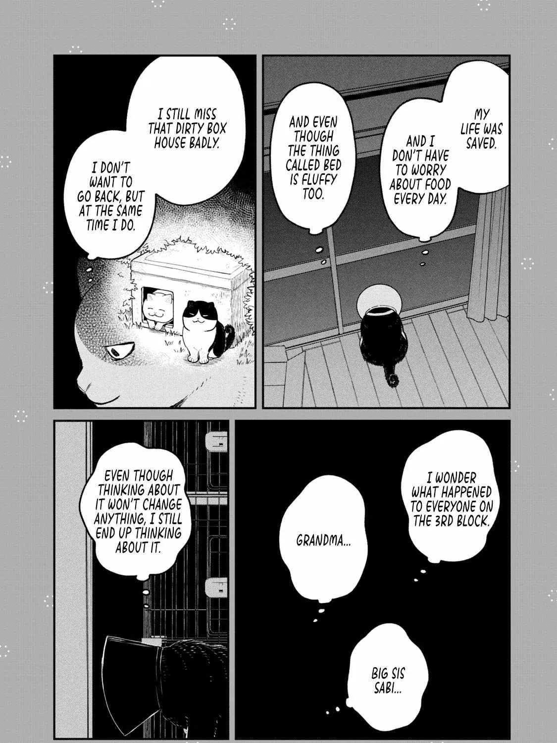 Cat Partners: Maruru And Hachi Chapter 15.1 page 4 - 