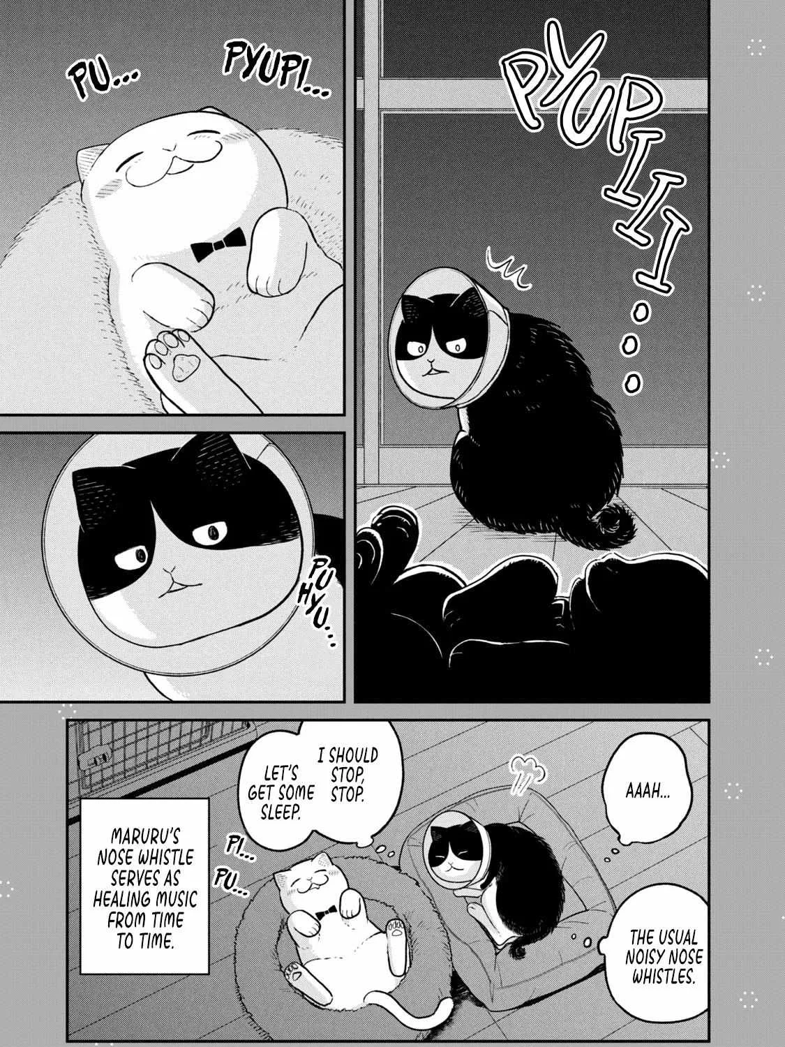 Cat Partners: Maruru And Hachi Chapter 15.1 page 6 - 