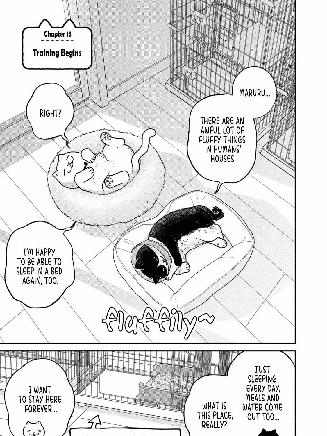 Cat Partners: Maruru And Hachi Chapter 15 page 3 - 