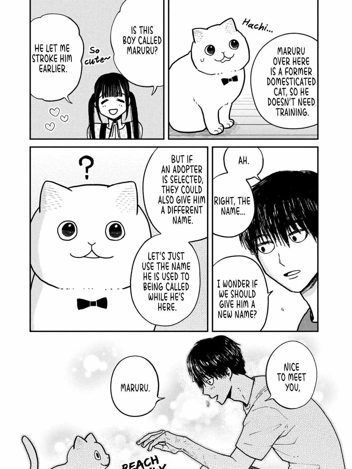 Cat Partners: Maruru And Hachi Chapter 15 page 23 - 