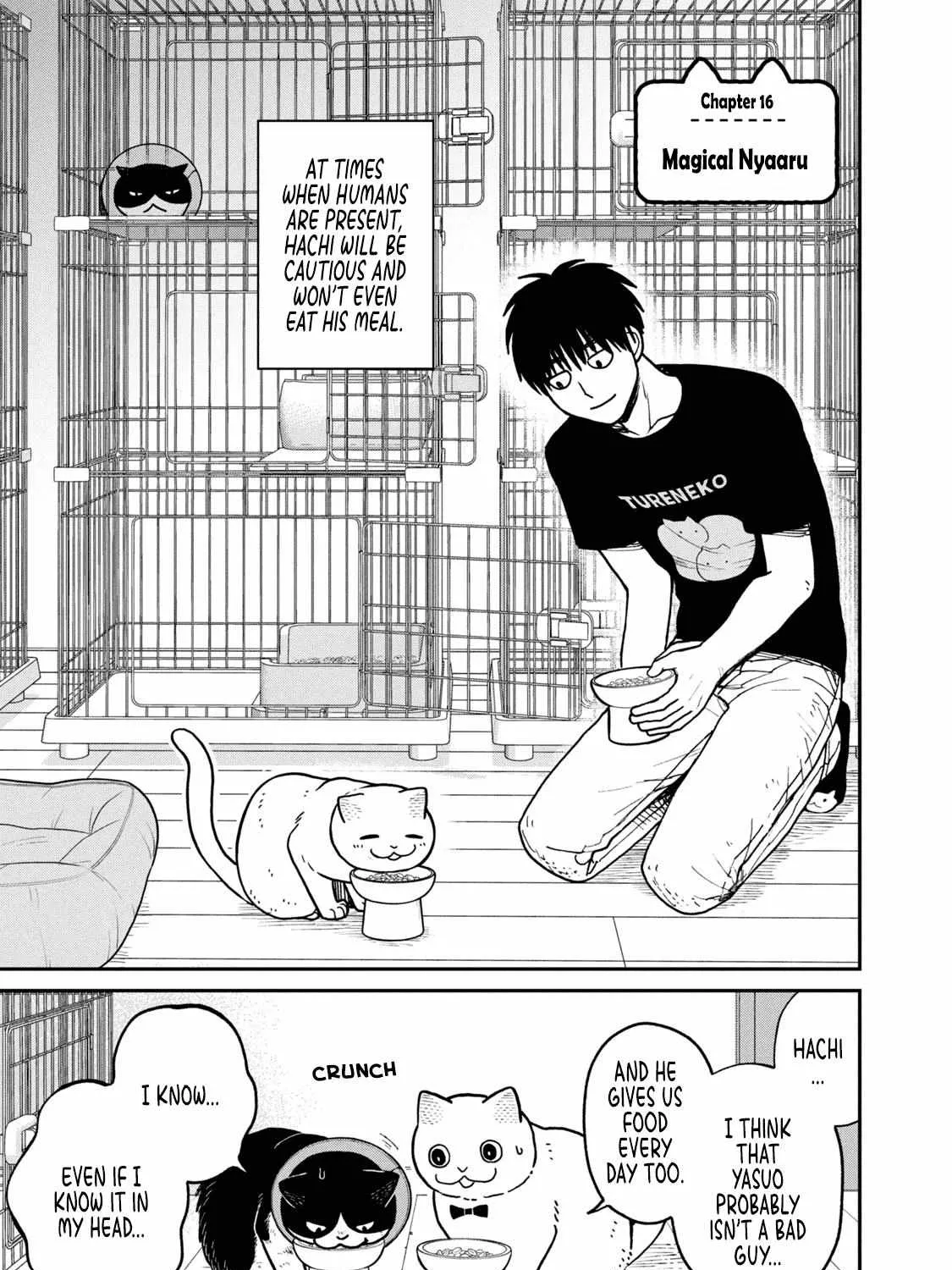 Cat Partners: Maruru And Hachi Chapter 16 page 2 - 