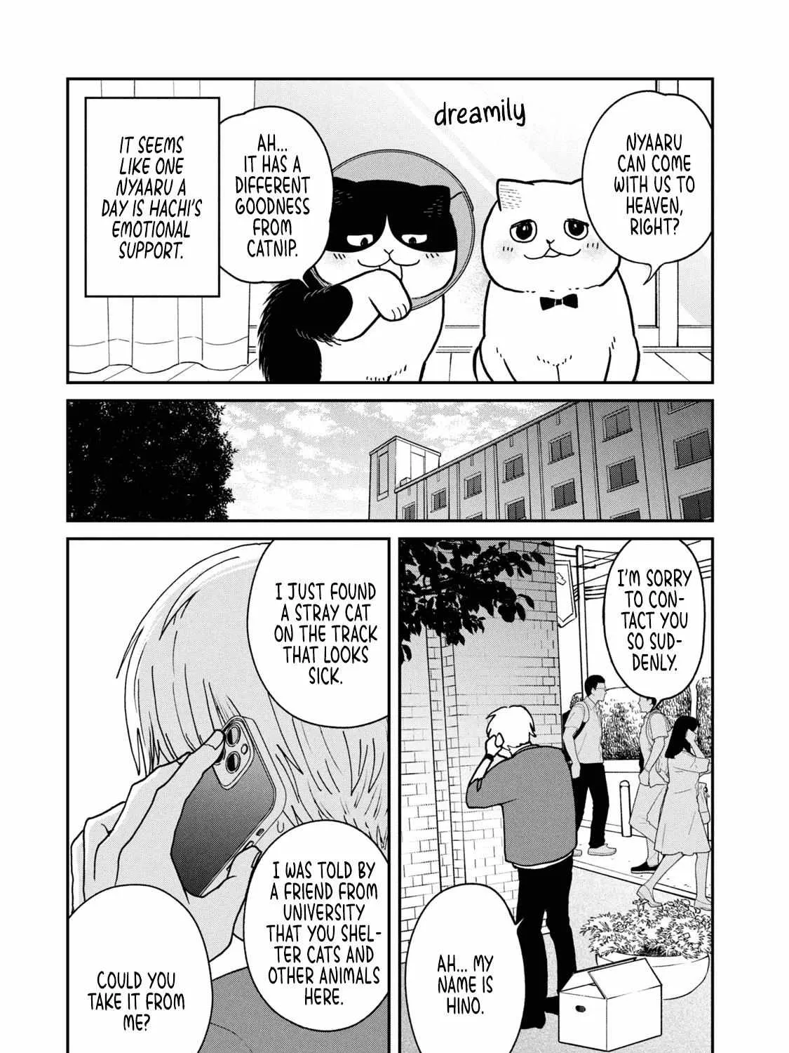 Cat Partners: Maruru And Hachi Chapter 16 page 18 - 