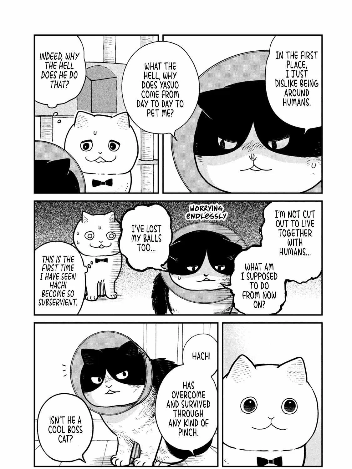 Cat Partners: Maruru And Hachi Chapter 16 page 4 - 