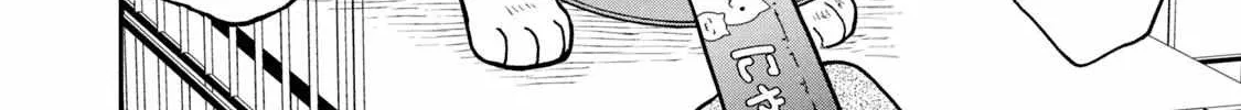 Cat Partners: Maruru And Hachi Chapter 16 page 9 - 