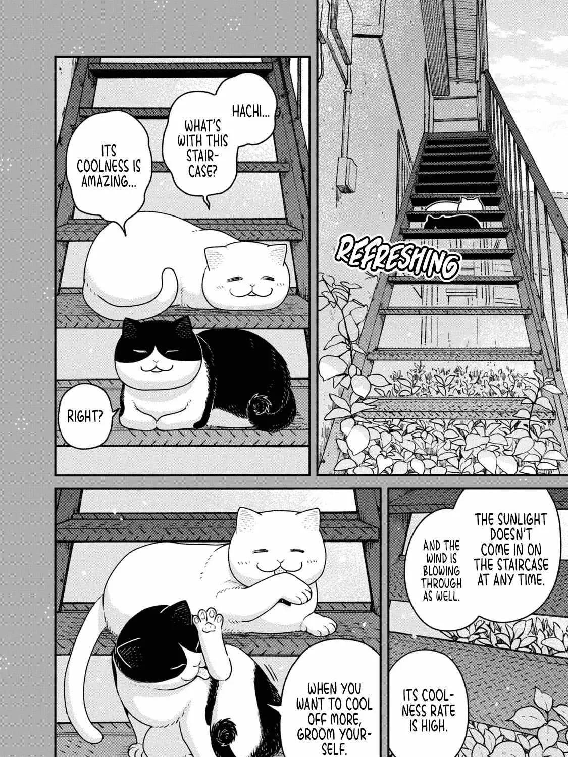Cat Partners: Maruru And Hachi Chapter 18.1 page 13 - 