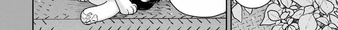 Cat Partners: Maruru And Hachi Chapter 18.1 page 14 - 