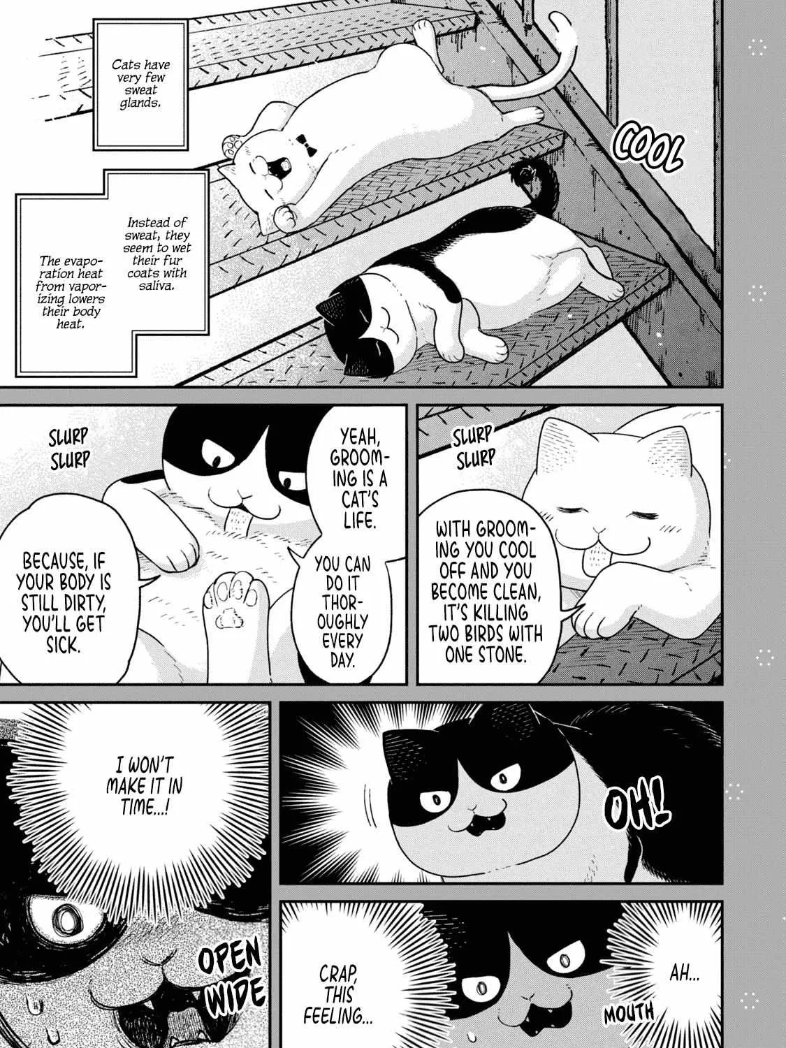 Cat Partners: Maruru And Hachi Chapter 18.1 page 15 - 