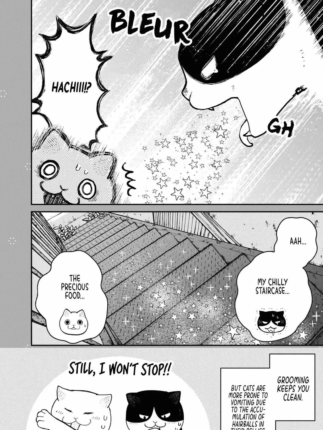 Cat Partners: Maruru And Hachi Chapter 18.1 page 17 - 