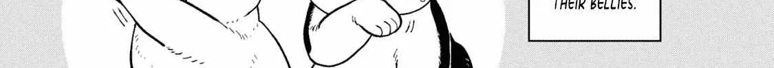 Cat Partners: Maruru And Hachi Chapter 18.1 page 18 - 