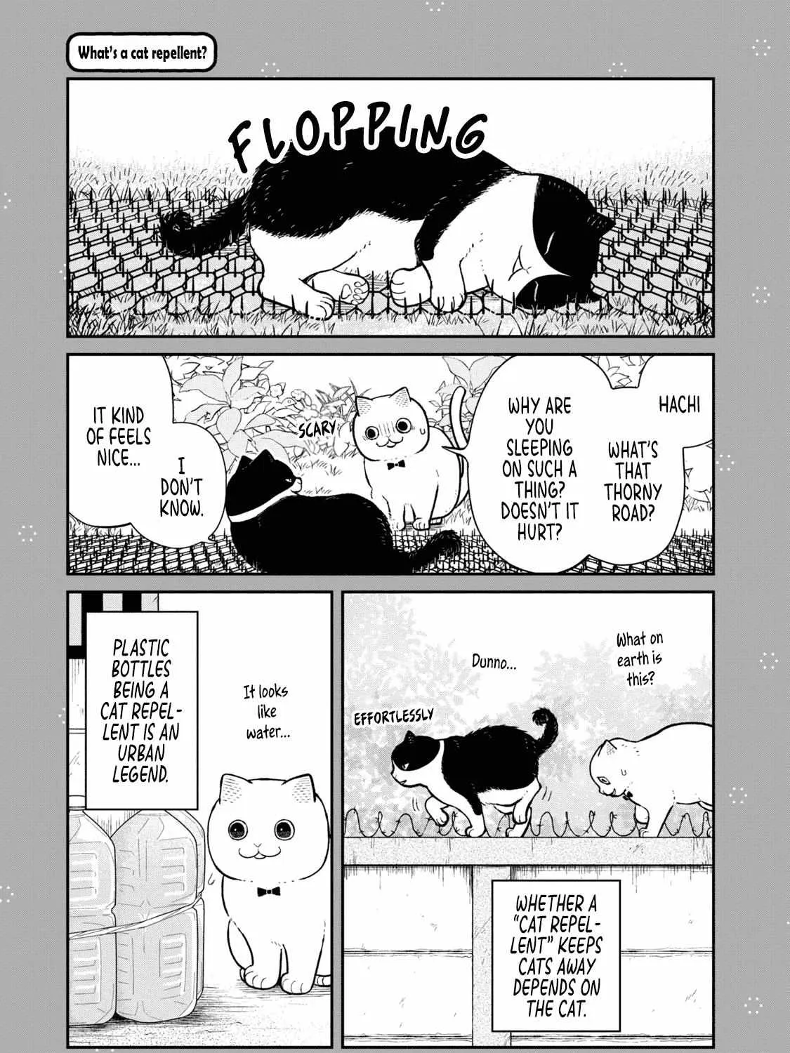 Cat Partners: Maruru And Hachi Chapter 18.1 page 19 - 