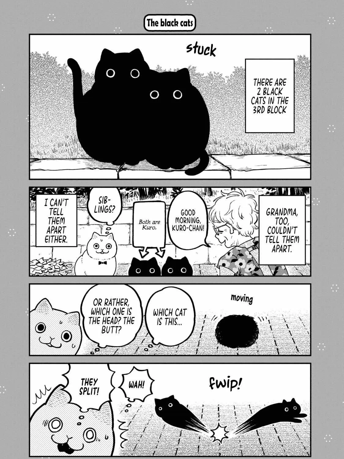 Cat Partners: Maruru And Hachi Chapter 18.1 page 3 - 