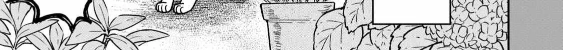 Cat Partners: Maruru And Hachi Chapter 18.1 page 24 - 