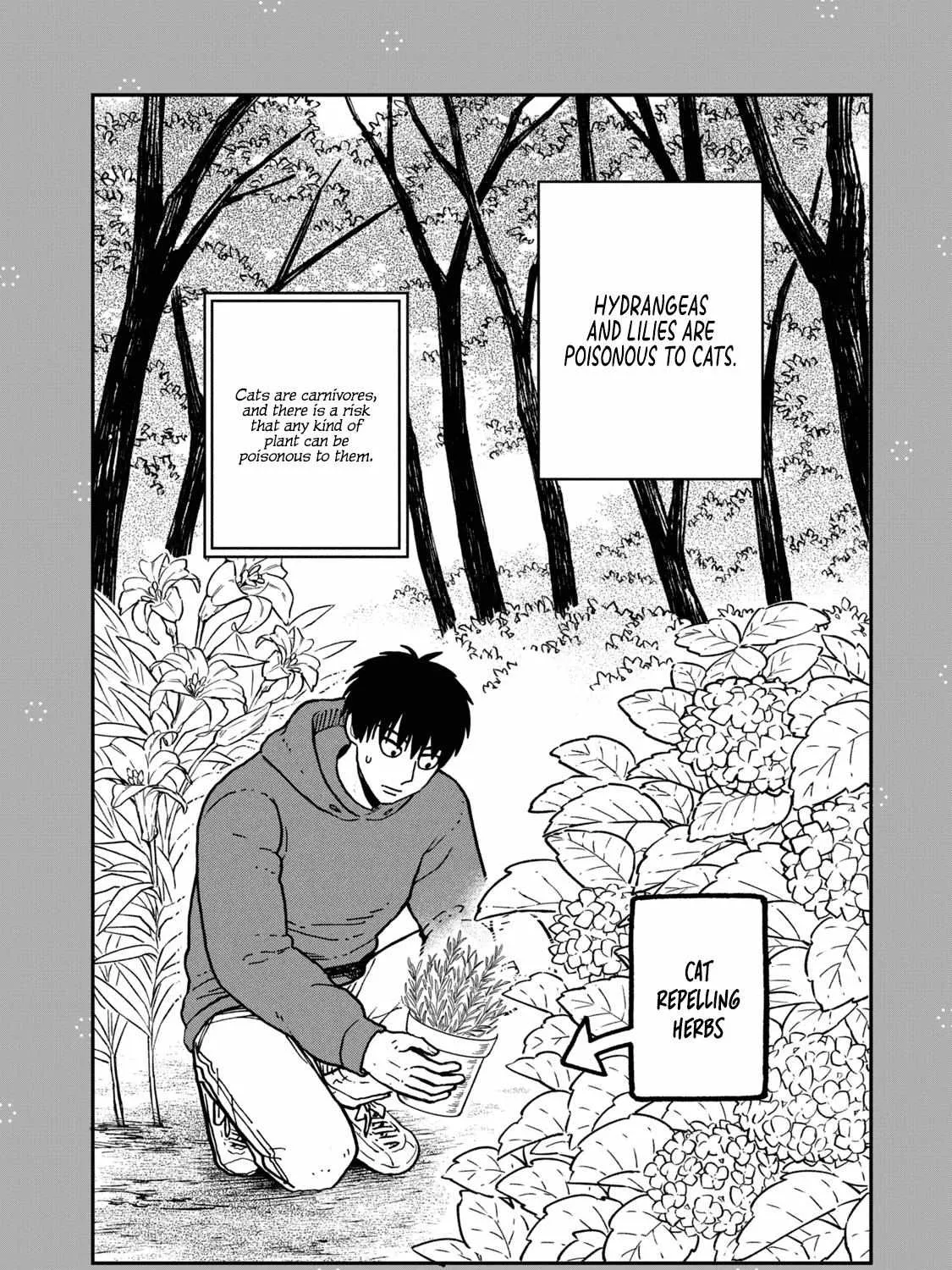 Cat Partners: Maruru And Hachi Chapter 18.1 page 25 - 