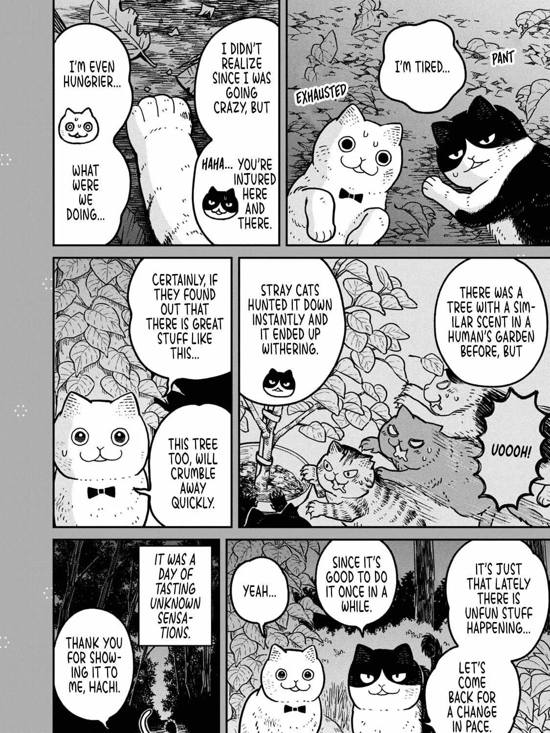 Cat Partners: Maruru And Hachi Chapter 18.1 page 33 - 