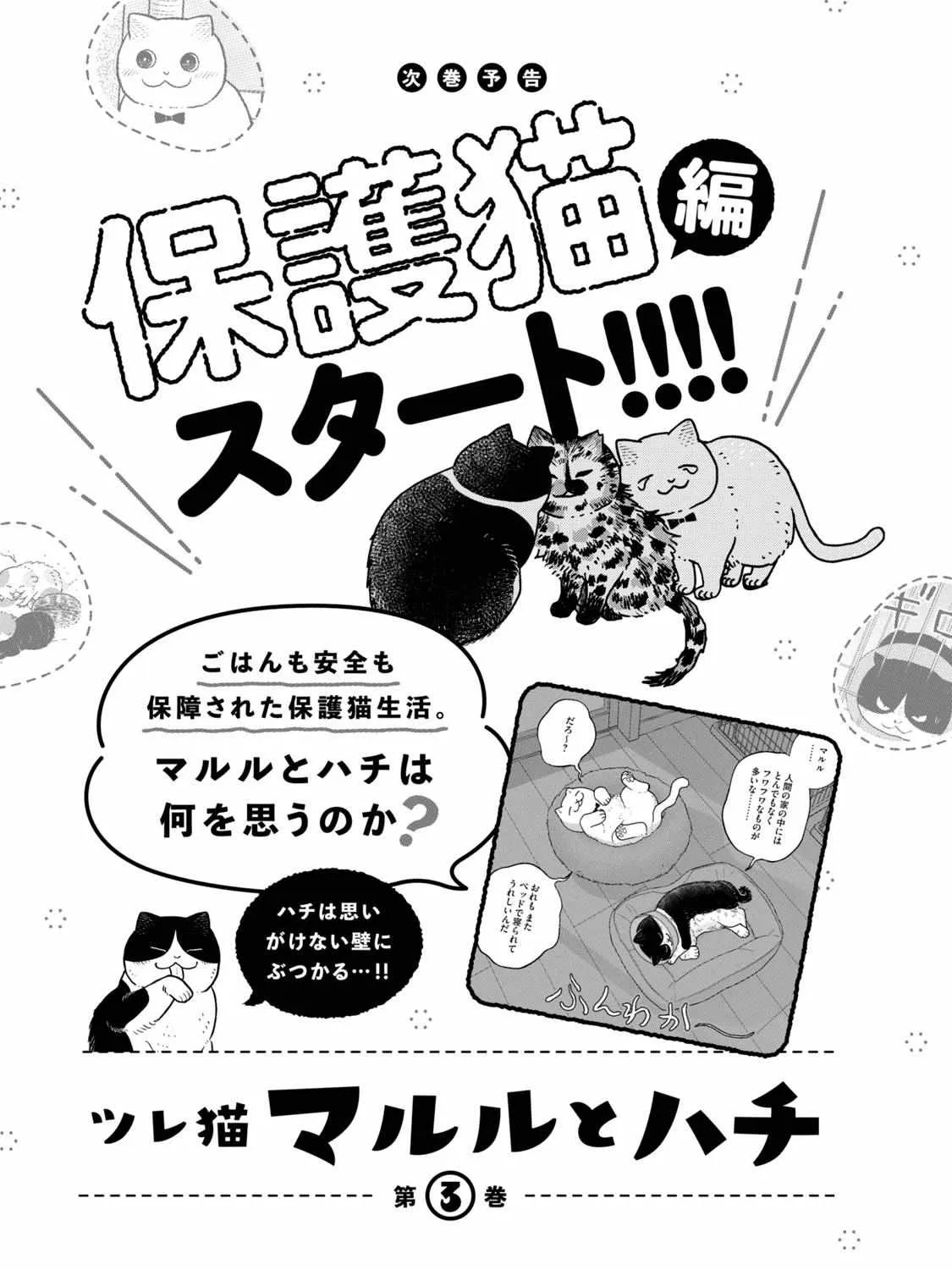Cat Partners: Maruru And Hachi Chapter 18.1 page 39 - 