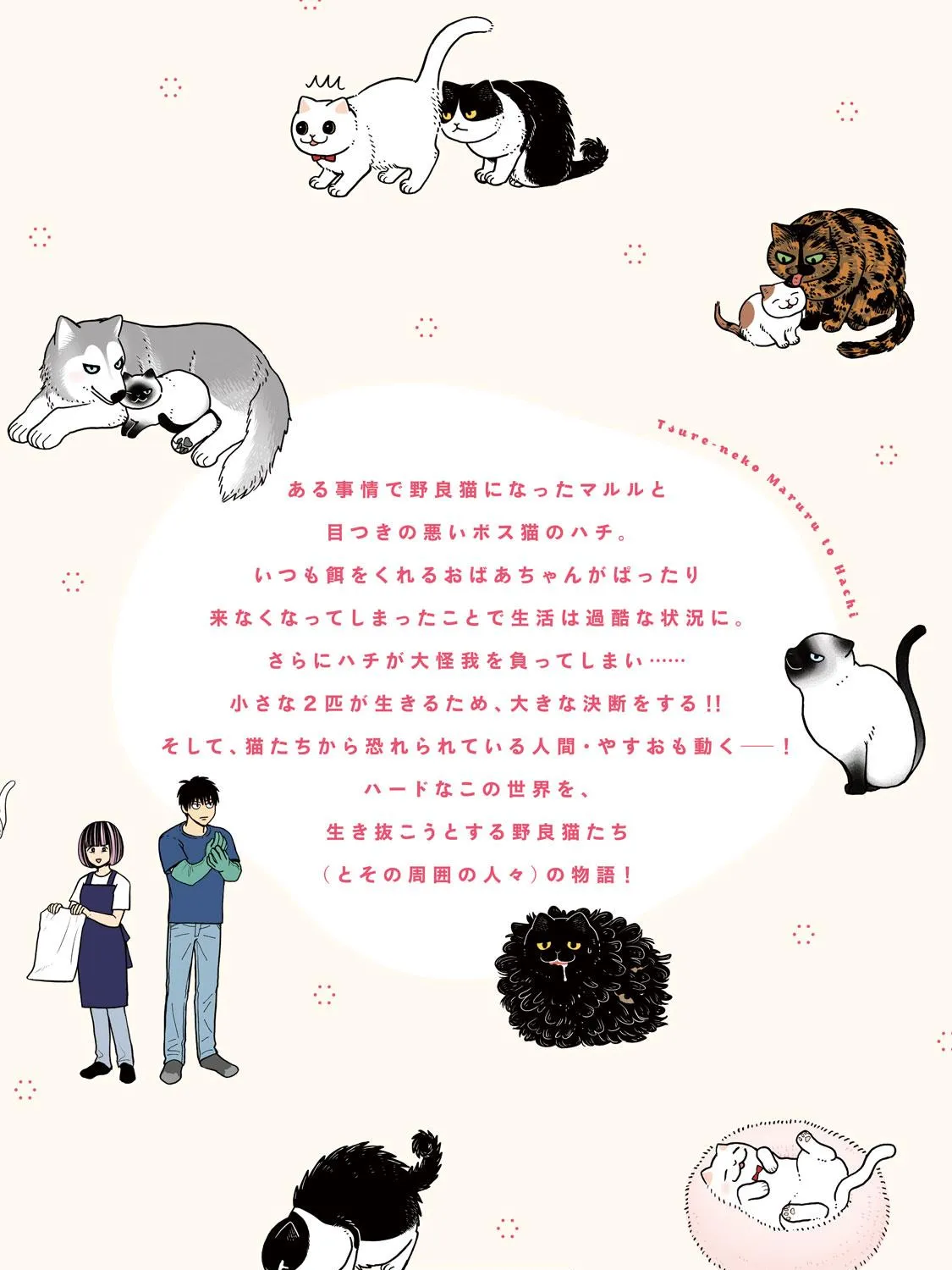 Cat Partners: Maruru And Hachi Chapter 18.1 page 51 - 