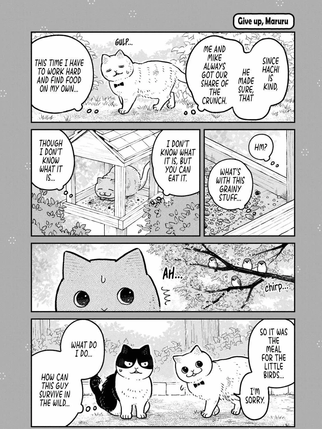 Cat Partners: Maruru And Hachi Chapter 18.1 page 9 - 