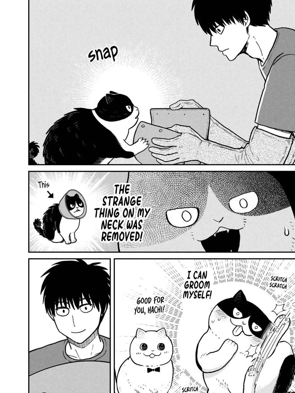 Cat Partners: Maruru And Hachi Chapter 18 page 12 - 