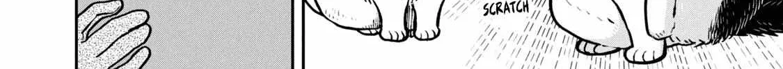 Cat Partners: Maruru And Hachi Chapter 18 page 13 - 