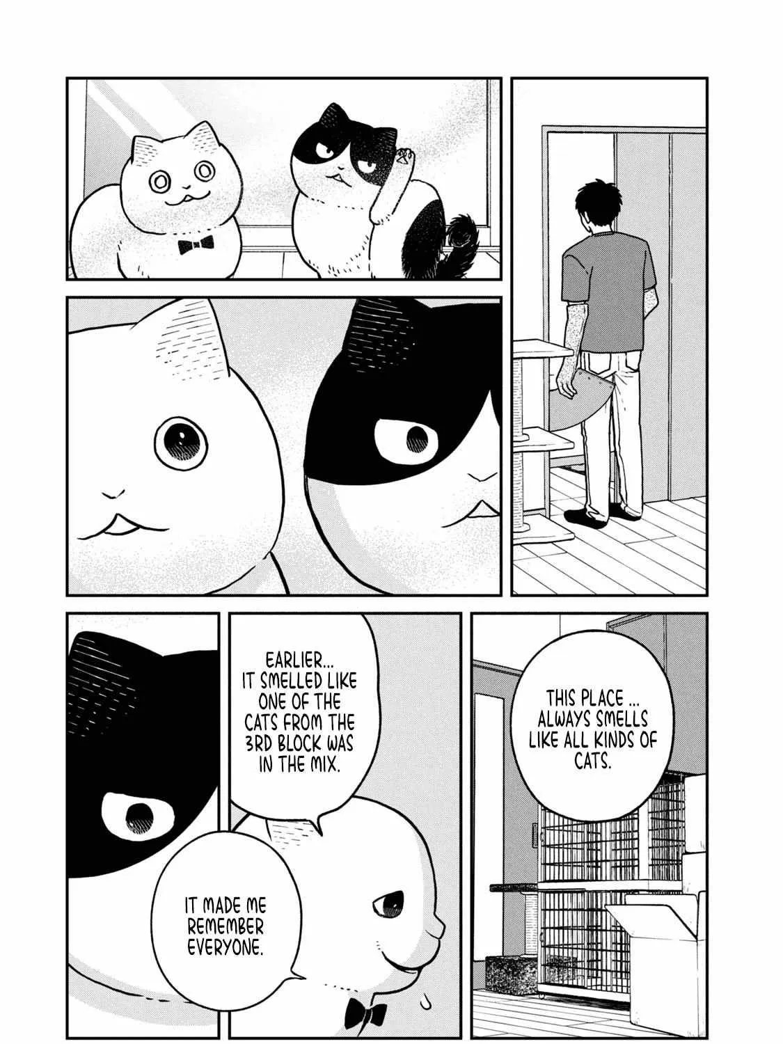 Cat Partners: Maruru And Hachi Chapter 18 page 14 - 