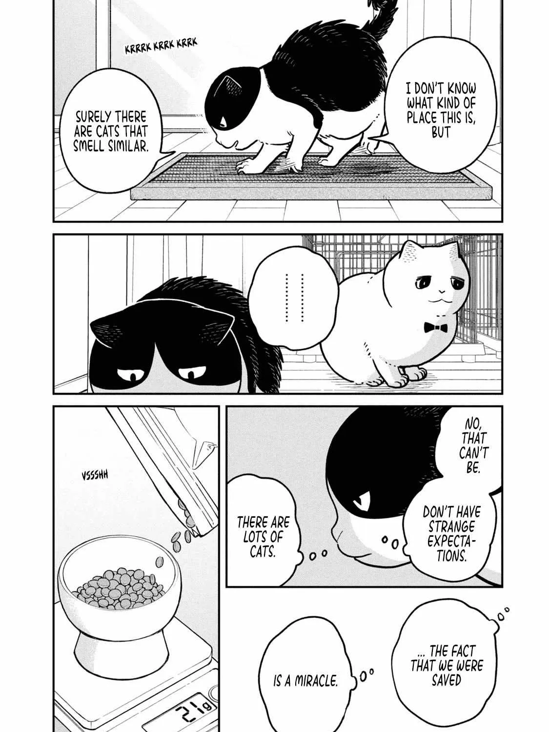 Cat Partners: Maruru And Hachi Chapter 18 page 16 - 