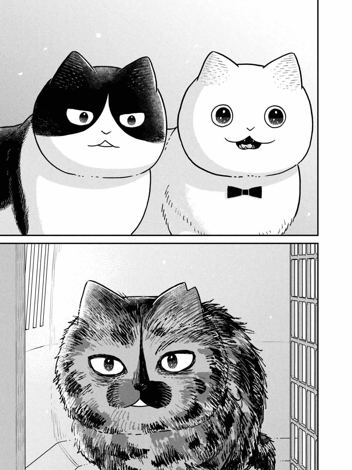 Cat Partners: Maruru And Hachi Chapter 18 page 22 - 