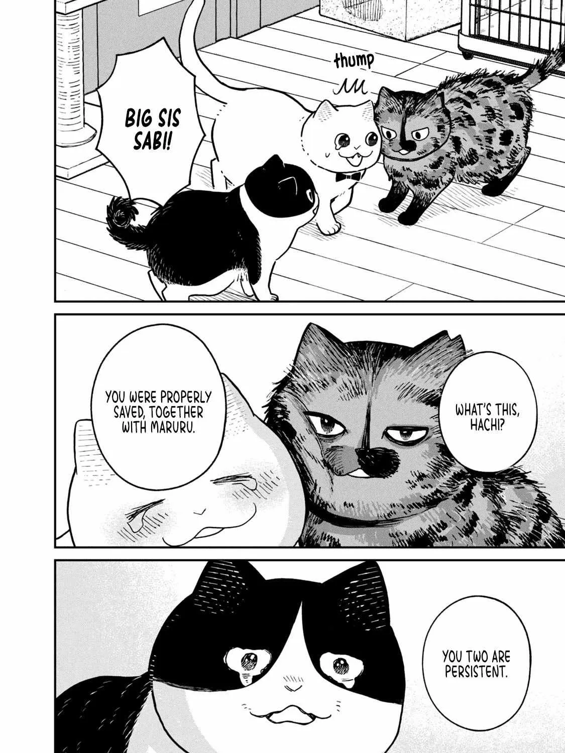 Cat Partners: Maruru And Hachi Chapter 18 page 24 - 