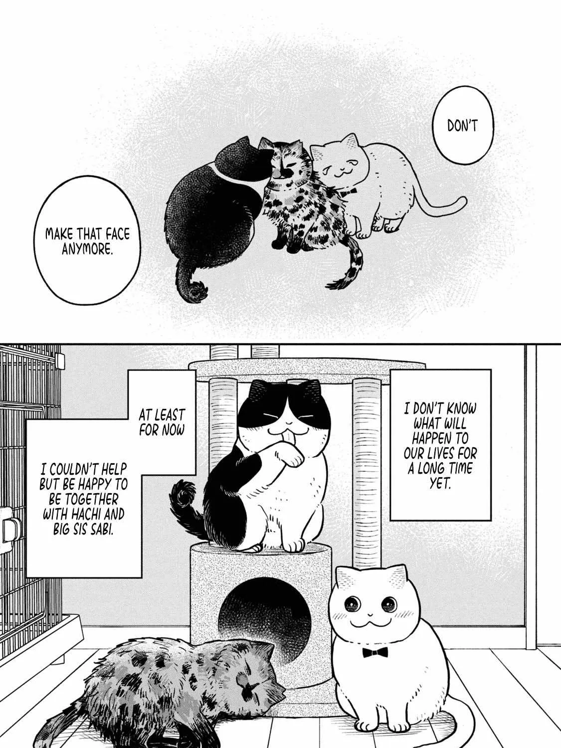 Cat Partners: Maruru And Hachi Chapter 18 page 26 - 