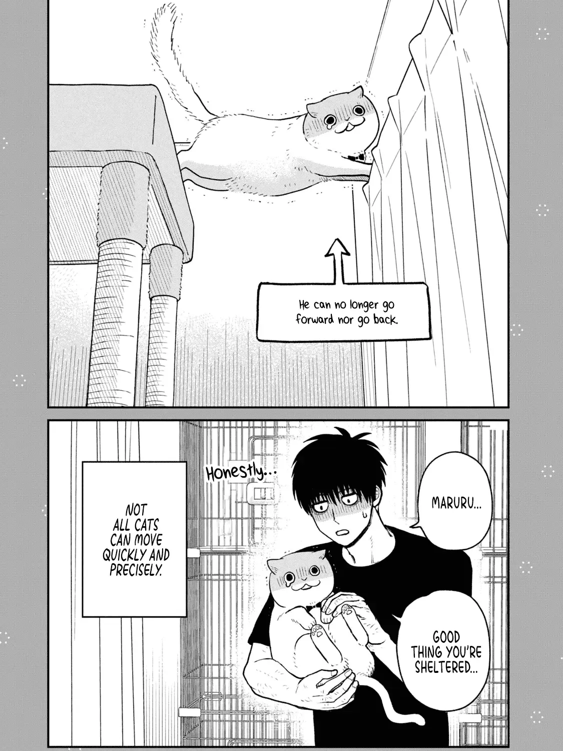 Cat Partners: Maruru And Hachi Chapter 19.1 page 5 - 