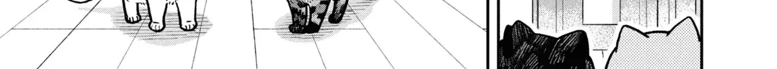 Cat Partners: Maruru And Hachi Chapter 19 page 13 - 