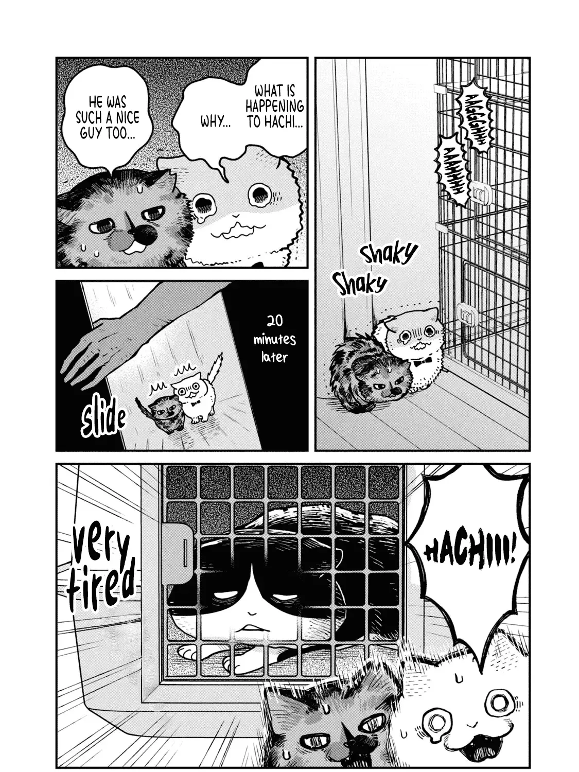 Cat Partners: Maruru And Hachi Chapter 19 page 18 - 