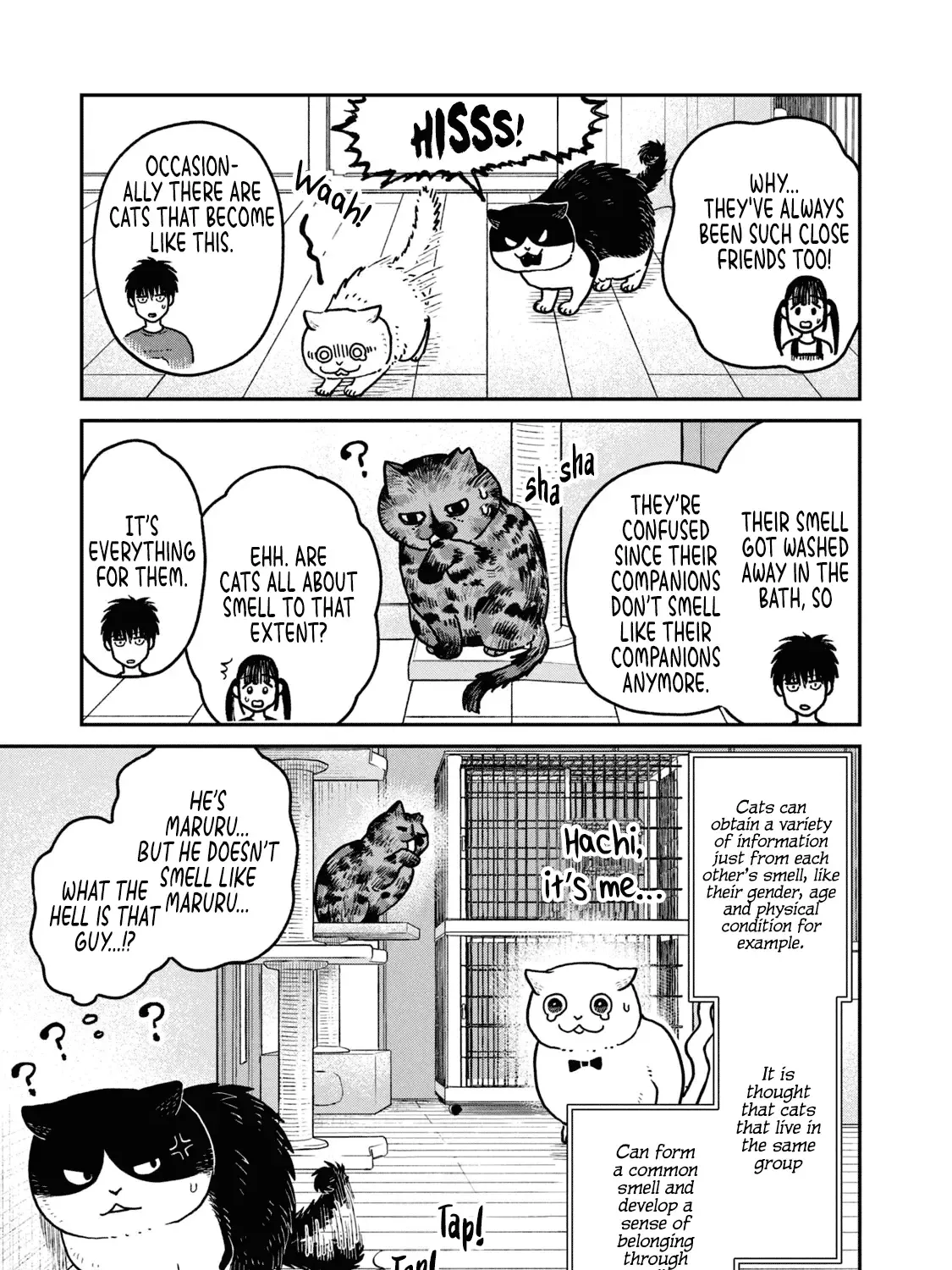 Cat Partners: Maruru And Hachi Chapter 19 page 24 - 