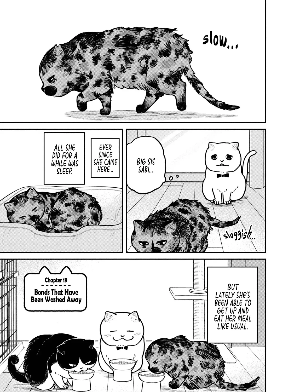 Cat Partners: Maruru And Hachi Chapter 19 page 8 - 
