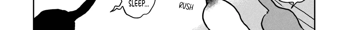 Cat Partners: Maruru And Hachi Chapter 2 page 17 - 