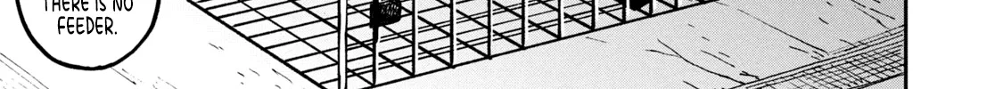 Cat Partners: Maruru And Hachi Chapter 2 page 19 - 