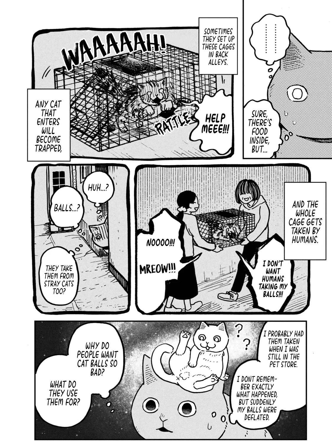 Cat Partners: Maruru And Hachi Chapter 2 page 20 - 