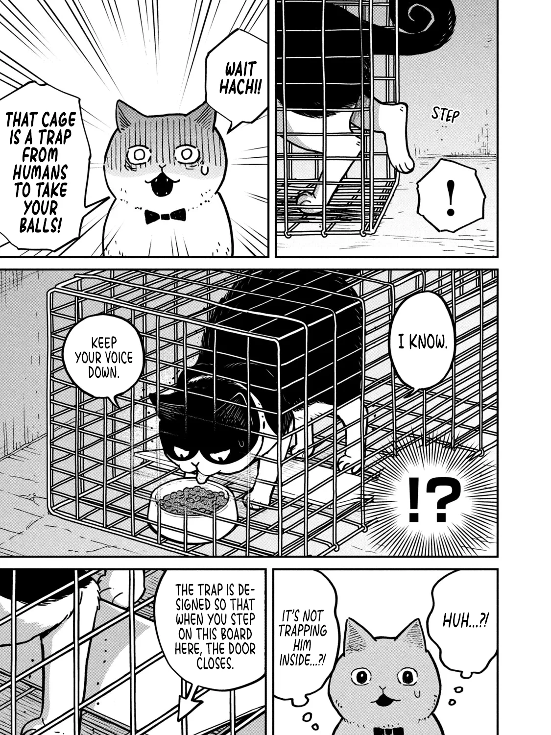 Cat Partners: Maruru And Hachi Chapter 2 page 22 - 