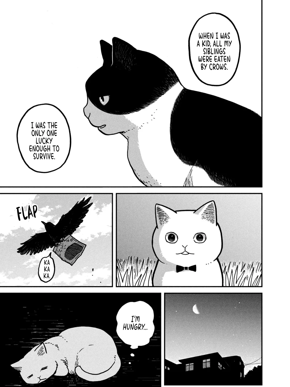 Cat Partners: Maruru And Hachi Chapter 2 page 34 - 