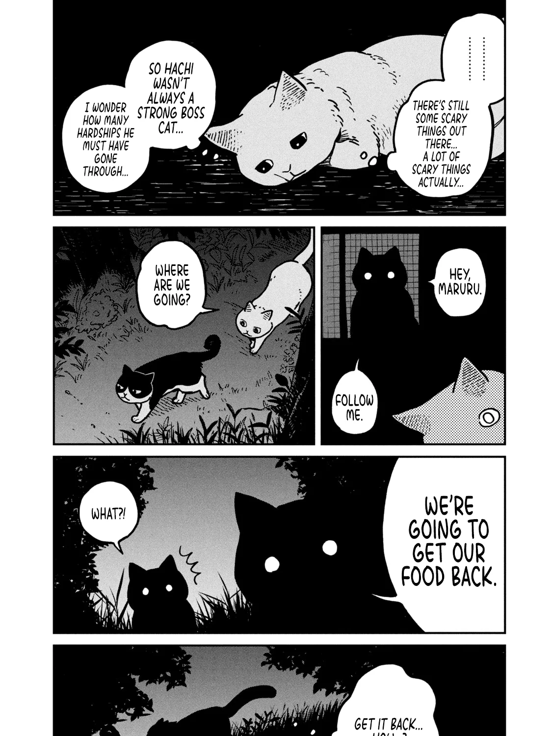 Cat Partners: Maruru And Hachi Chapter 2 page 36 - 
