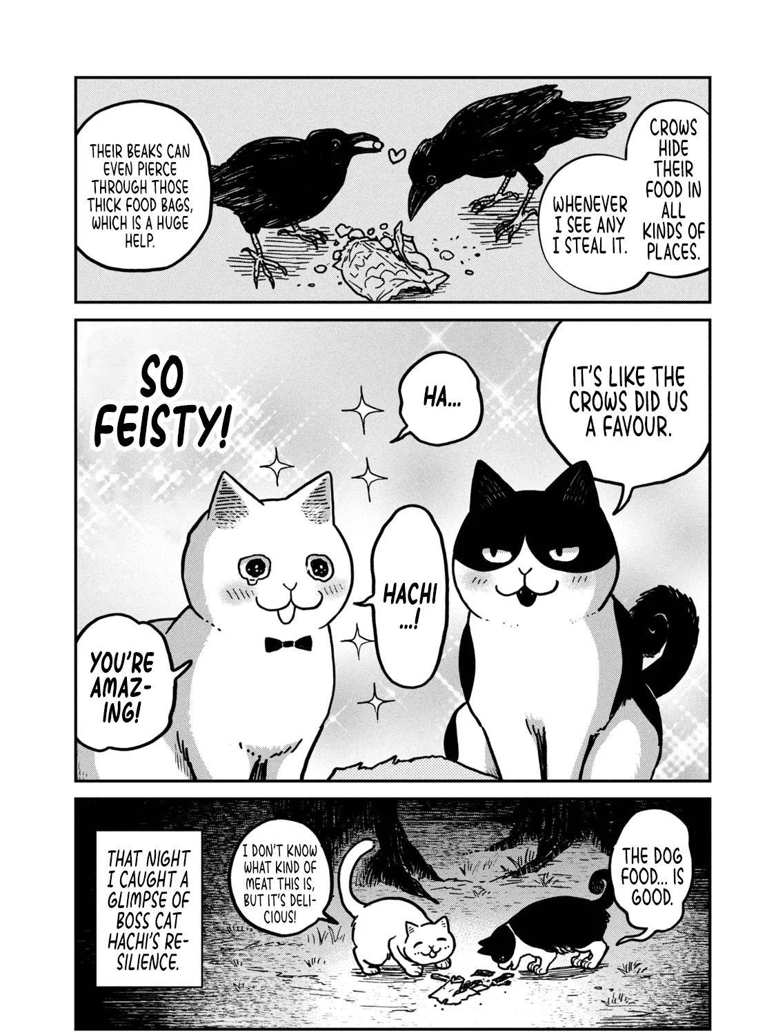 Cat Partners: Maruru And Hachi Chapter 2 page 40 - 