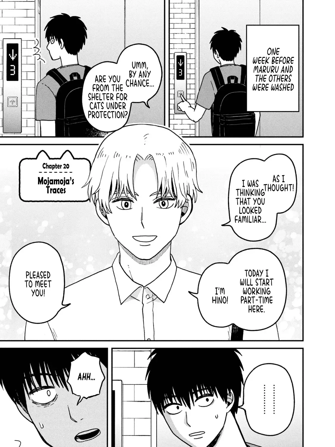 Cat Partners: Maruru And Hachi Chapter 20 page 1 - 