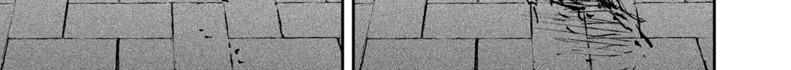 Cat Partners: Maruru And Hachi Chapter 21 page 15 - 