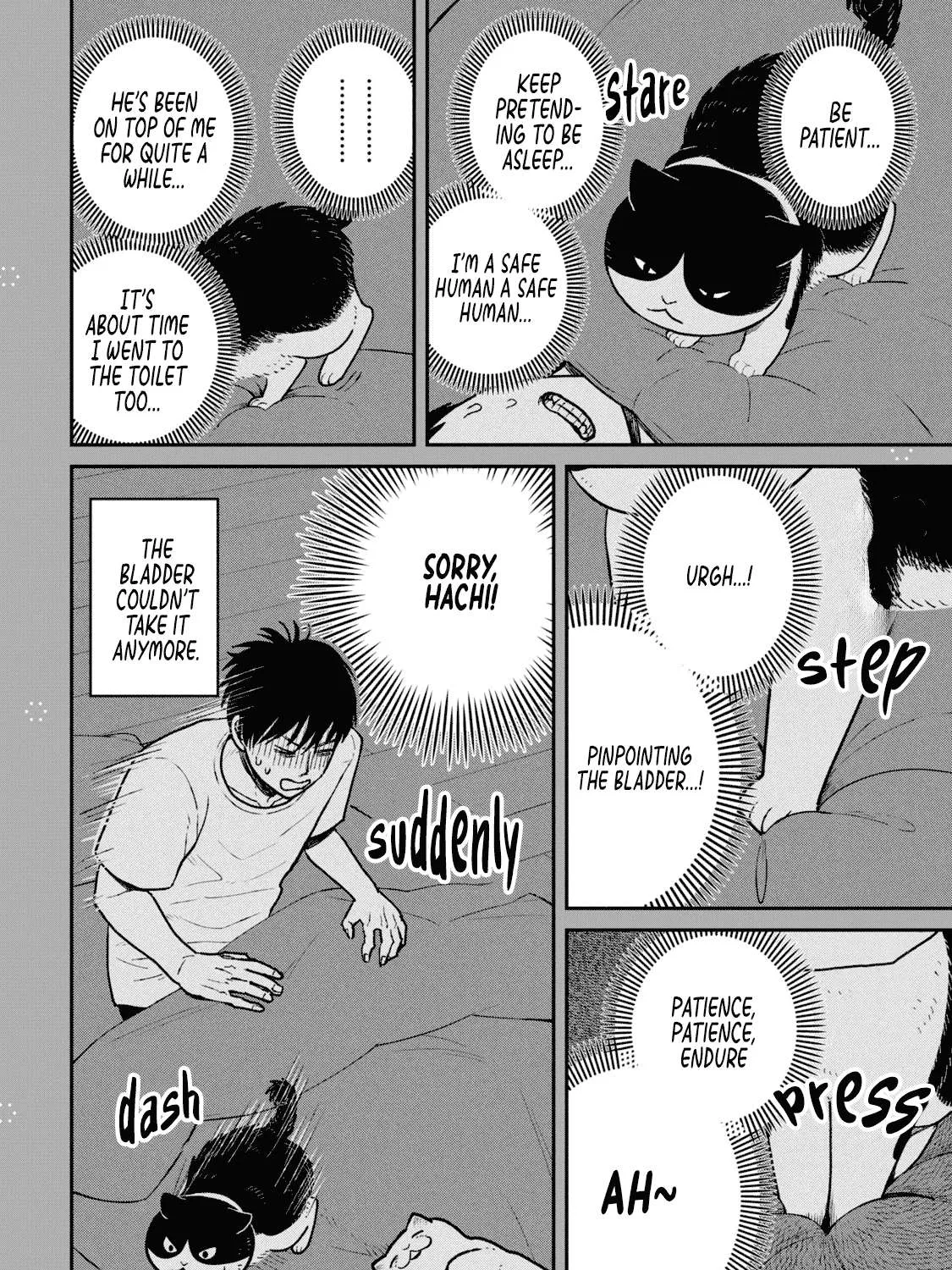 Cat Partners: Maruru And Hachi Chapter 22.1 page 4 - 