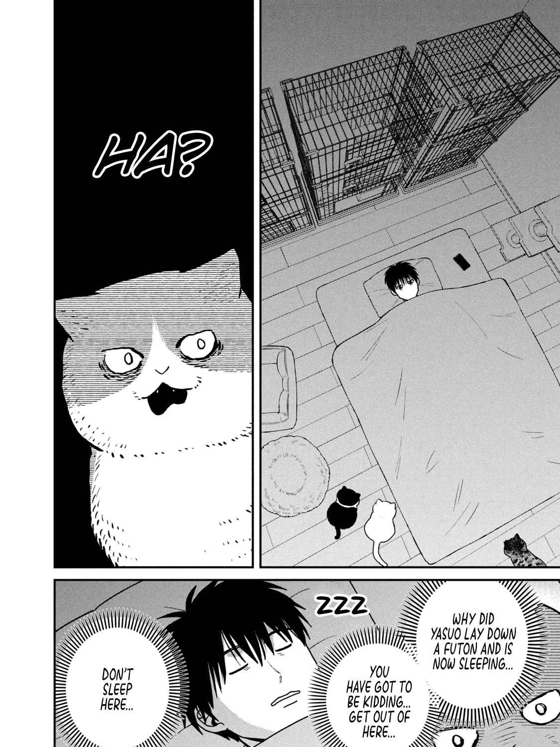 Cat Partners: Maruru And Hachi Chapter 22 page 11 - 