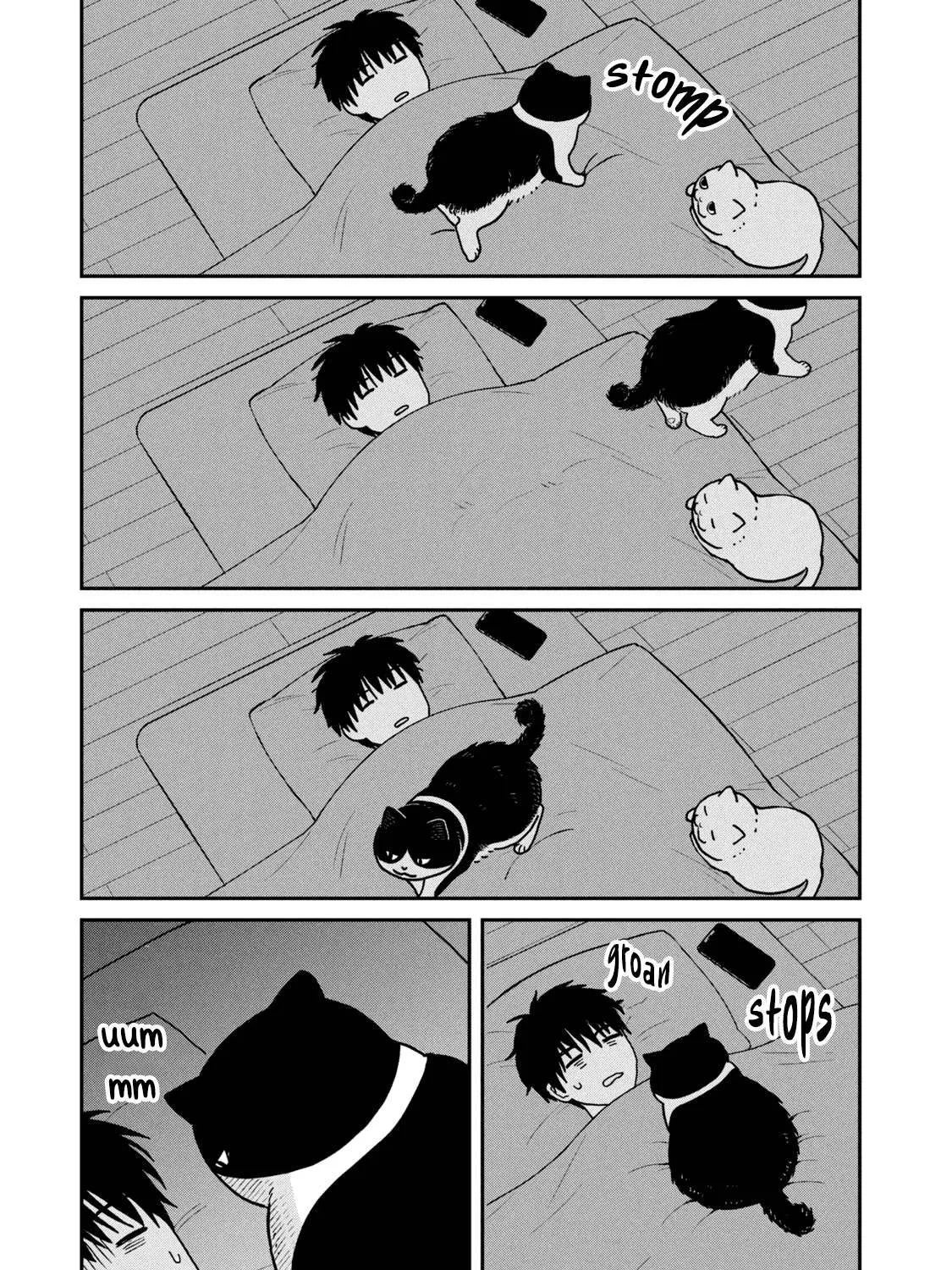 Cat Partners: Maruru And Hachi Chapter 22 page 21 - 