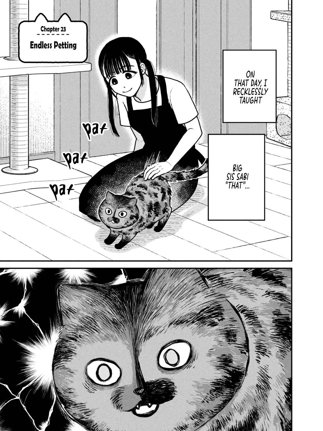 Cat Partners: Maruru And Hachi Chapter 23 page 1 - 